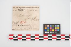 Etikett zu Bronzeknotenarmreif (NHMW-PRAE-026294)